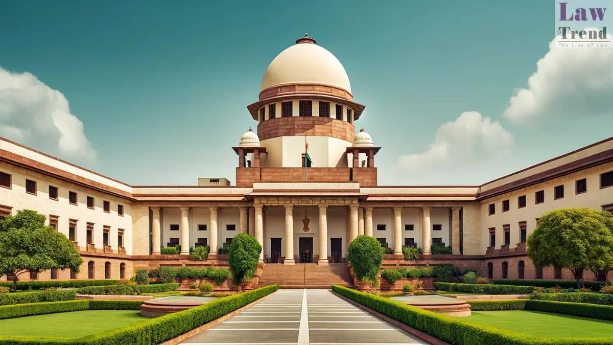 Legal Background